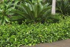 Yatinaplanting-garden-and-landscape-design-45.jpg; ?>